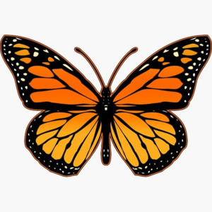 Meet your Posher, Eden